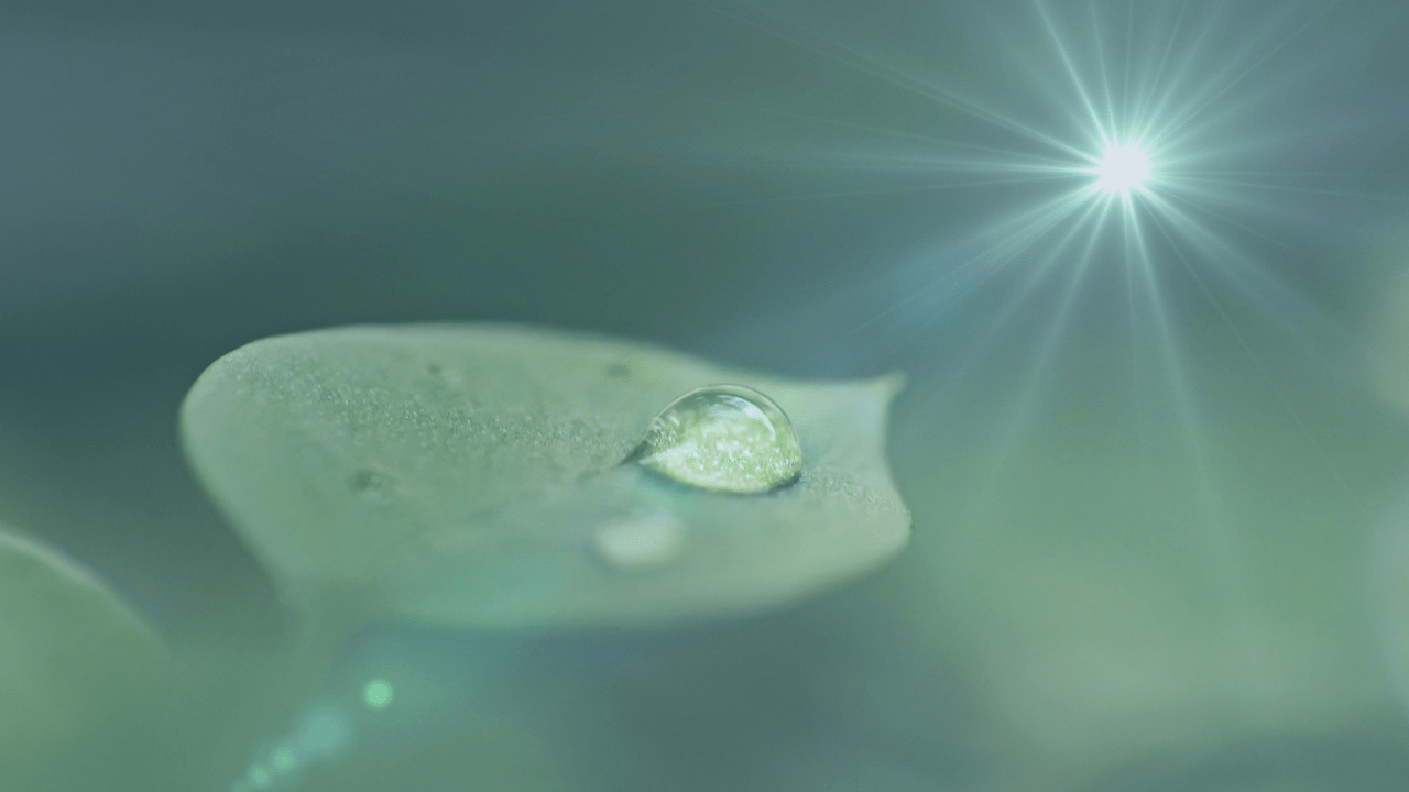 気づきへの道は、常識の真逆だった！