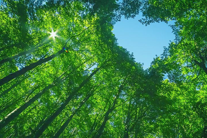 エンジェルフォレスト 他人を愛せない本当の理由と、癒しの鍵