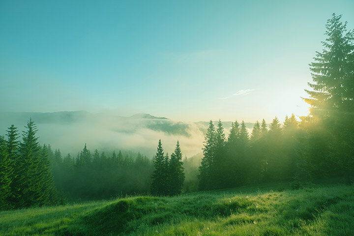 同じ過去世を持つ人がいるのはなぜ？ エンジェルフォレスト