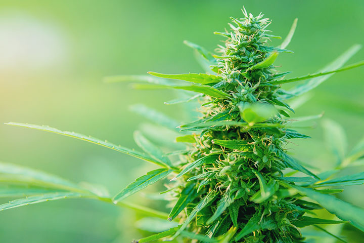 同じ過去世を持つ人がいるのはなぜ？ エンジェルフォレスト