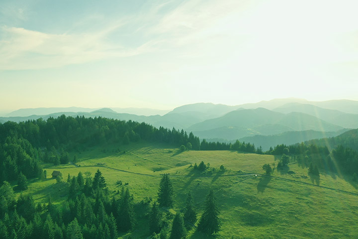 家族の秘密〜おばあちゃんがやりたかったヒーリングを、今私が実践している