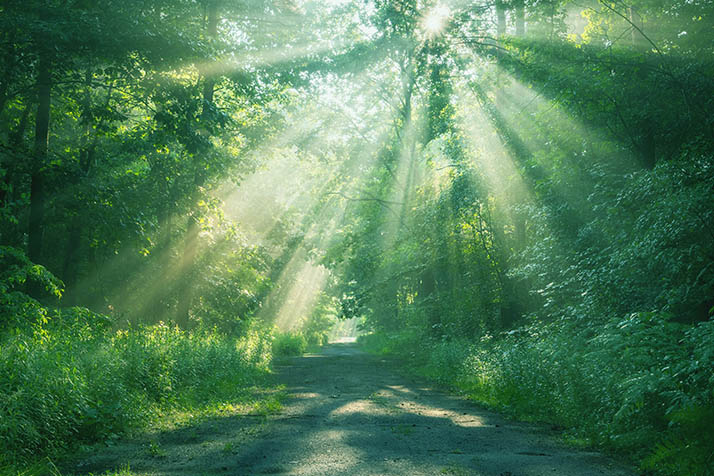 同じ過去世を持つ人がいるのはなぜ？ エンジェルフォレスト