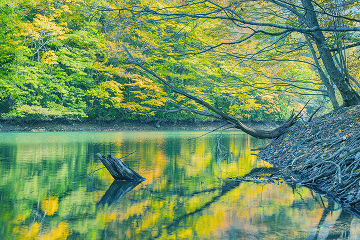 家族の秘密〜おばあちゃんがやりたかったヒーリングを、今私が実践している