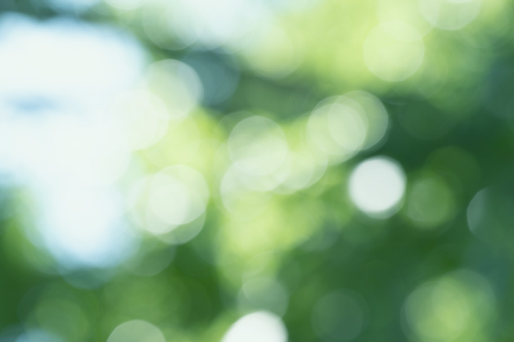 家族の秘密〜おばあちゃんがやりたかったヒーリングを、今私が実践している